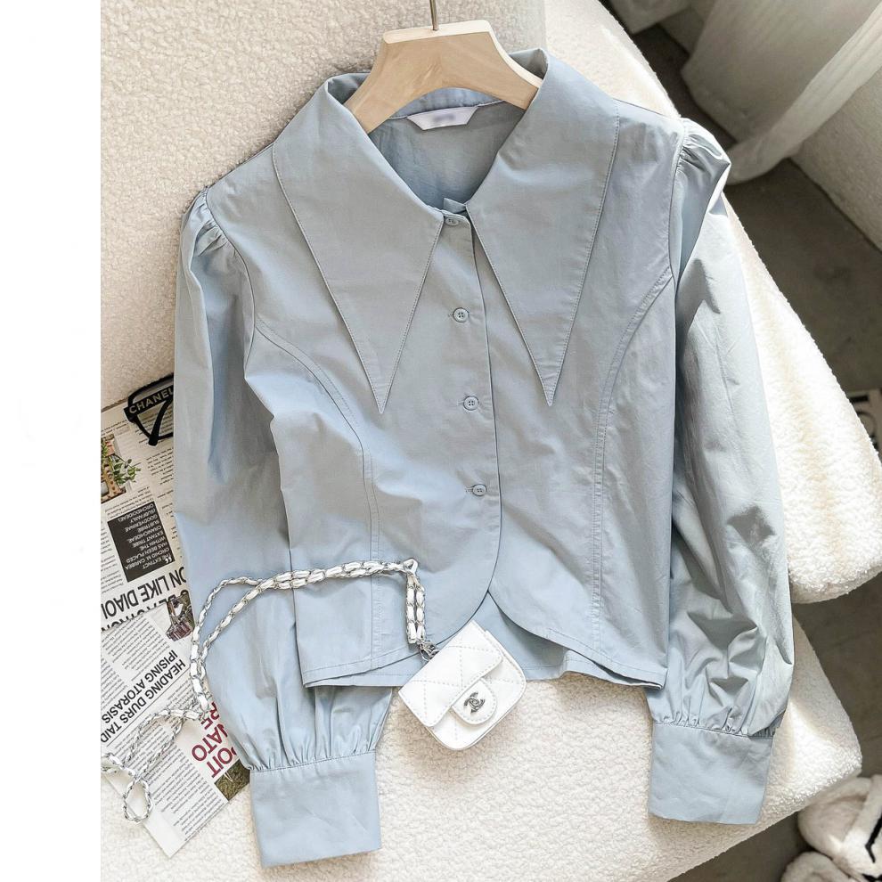 Pointy Collar Shirt Women Spring And Autumn High-grade French Chic Short Top