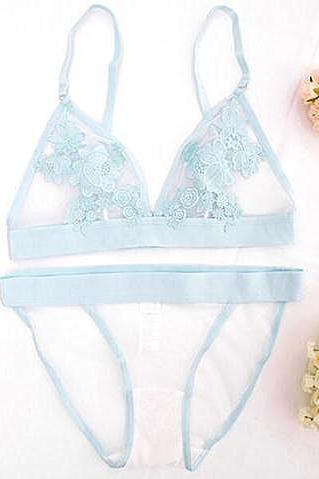 Women's Fashion Summer Hot Sale Transparent bra set embroidery Hollow Out Lace Sexy Underwear